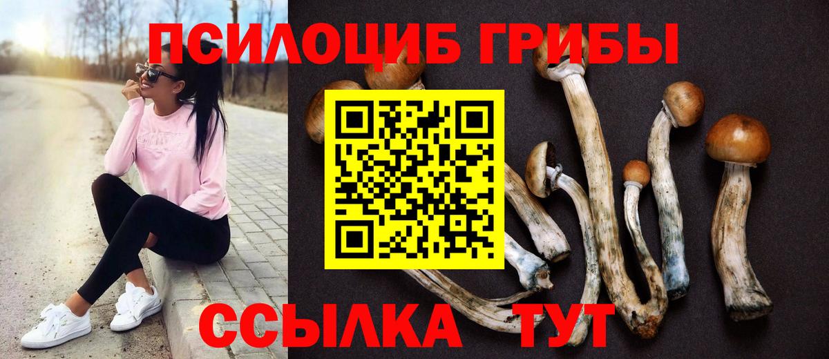 где продают   Вход с VPN  Жуковский  Галлюциногенные грибы MAGIC MUSHROOMS 